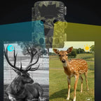 Outdoor Camouflage Dual Lens Infrared Camera with 4k Resolution and Night Vision