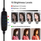 10.2 Dual-colour Led Ring Light with Usb Bluetooth Remote and Phone Holder - Black