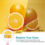 10.2 Led Ring Light with Tripod and Phone Clamp - 3 Modes Dual Colour Temperature Dimmable - Black
