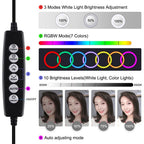 10.2 Usb Led Ring Light with 10 Modes Cold Shoe Tripod & Phone Clamp - Black
