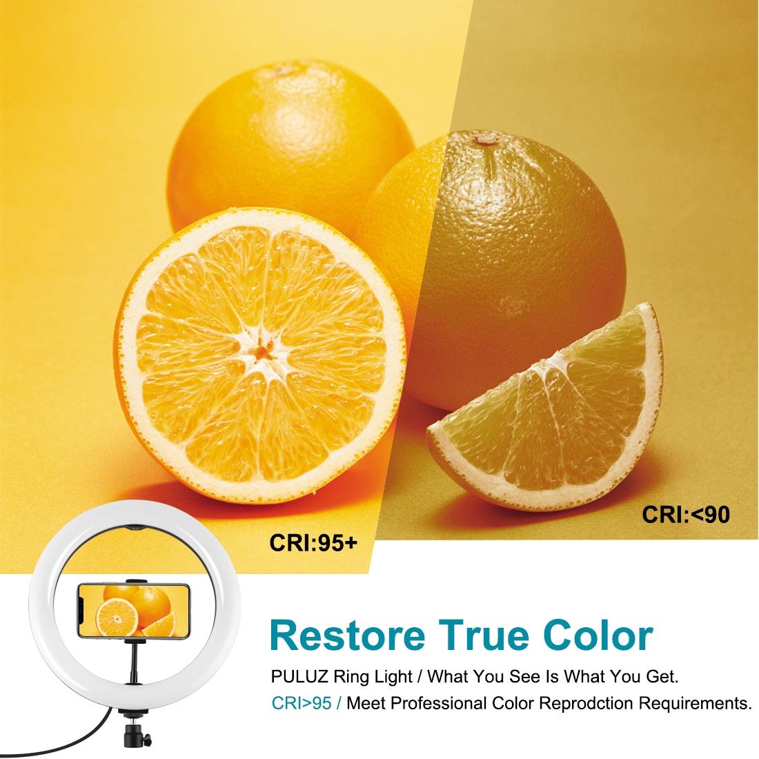 10.2 Usb Led Ring Light with 10 Modes Cold Shoe Tripod & Phone Clamp - Black