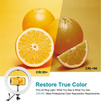 10.2 Rgbw Led Ring Light Kit with Tripod and Remote Control