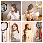 10.2 26cm Ring Light Kit with Tripod Usb 3 Modes Dual Colour Phone Clamp Remote - Black