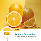 30cm Usb Dual Colour Led Ring Light with Phone Clamp - Black