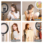 10.2 Usb Led Ring Light with 10 Modes Cold Shoe Tripod & Phone Clamp - Pink