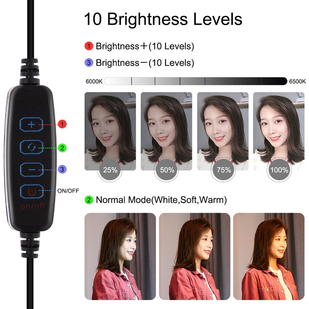 10.2 Dual-colour Led Ring Light with Usb Bluetooth Remote and Phone Holder - White