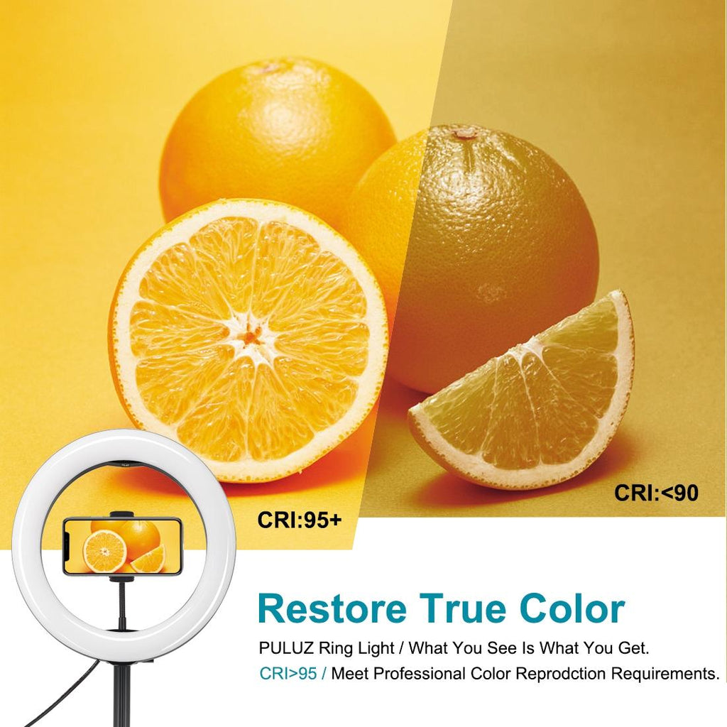 10.2 Dual-colour Led Ring Light with Usb Bluetooth Remote and Phone Holder - White