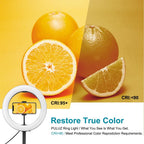 10.2 Dual-colour Led Ring Light with Usb Bluetooth Remote and Phone Holder - White