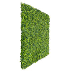 Mixed Boxwood Hedge Panels / Screens UV Resistant 1m X 1m