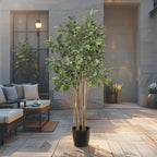 Potted Artificial Variegated Ficus Tree 168cm