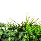 Premium Urban Greenery Artificial Vertical Garden / Fake Green Wall UV Resistant 1m x 1m (Exclusive Model Arriving Mid Sep)