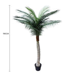Tropical Phoenix Artificial Potted Palm Tree 190cm UV Resistant
