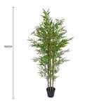 Premium Natural Cane Artificial Bamboo (UV Resistant) 150cm