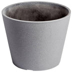 Premium Areca Palm Tree and Render Pot Bundle