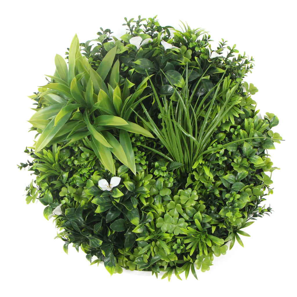 Two 50cm and One 75cm Flowering White Disc Bundle