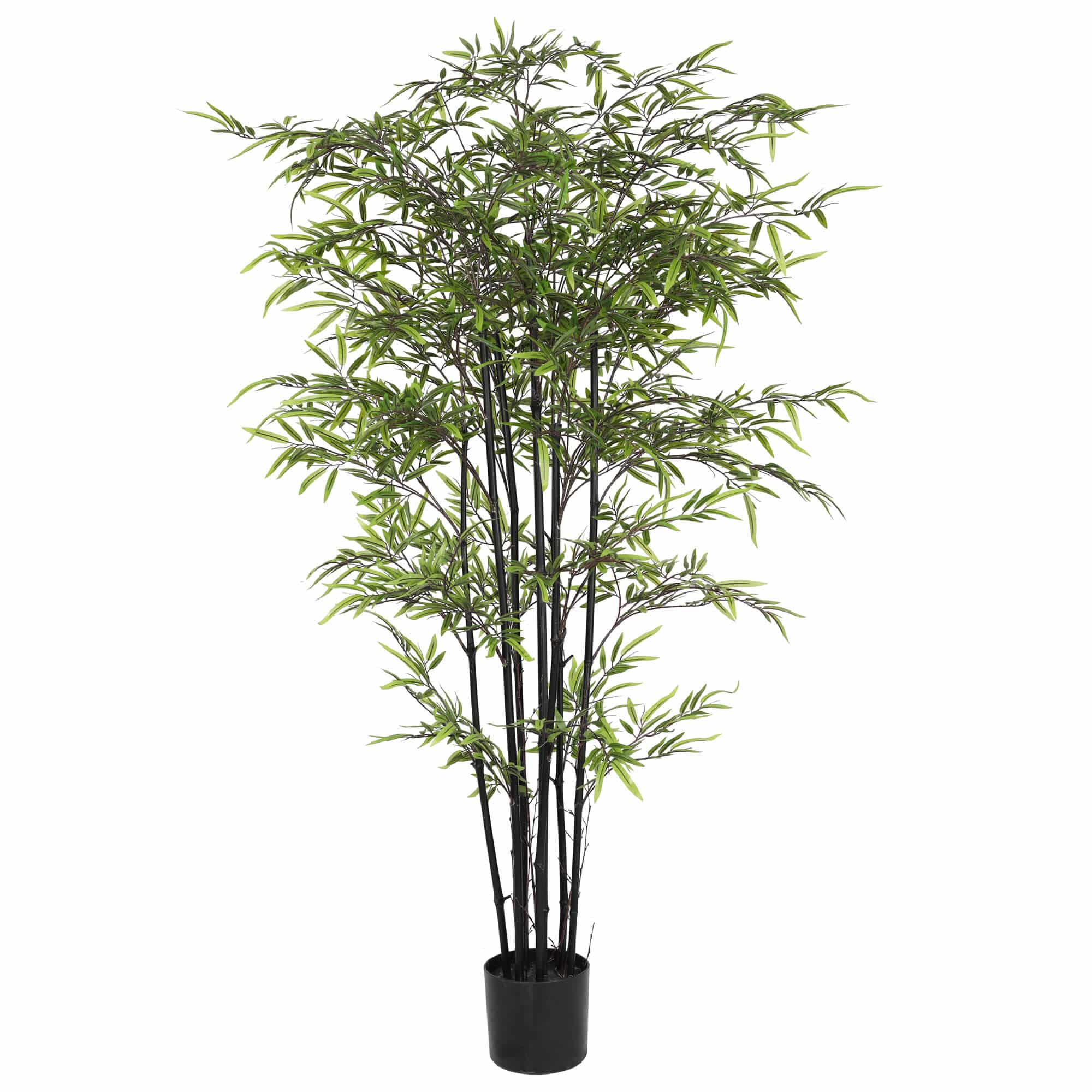 Premium Dense Artificial Black Bamboo 180cm