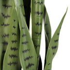 Artificial Snake Plant Sansevieria UV Resistant 85cm