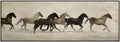 Gallopping Horse Framed Artwork 150cm