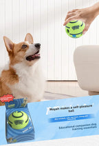 2 Pack Interactive Dog Giggle Ball Set 14cm - Green Wobble Sound Toy & White Glow in the Dark Luminous Ball - No Batteries Required for Medium to Large Dogs