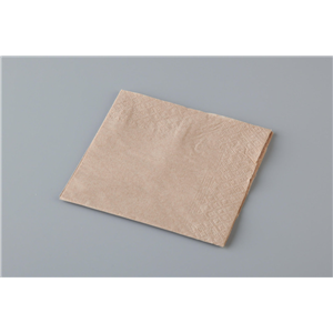 250 Napkins 2 Ply Cocktail