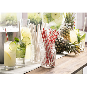 2500 Straws Paper Red