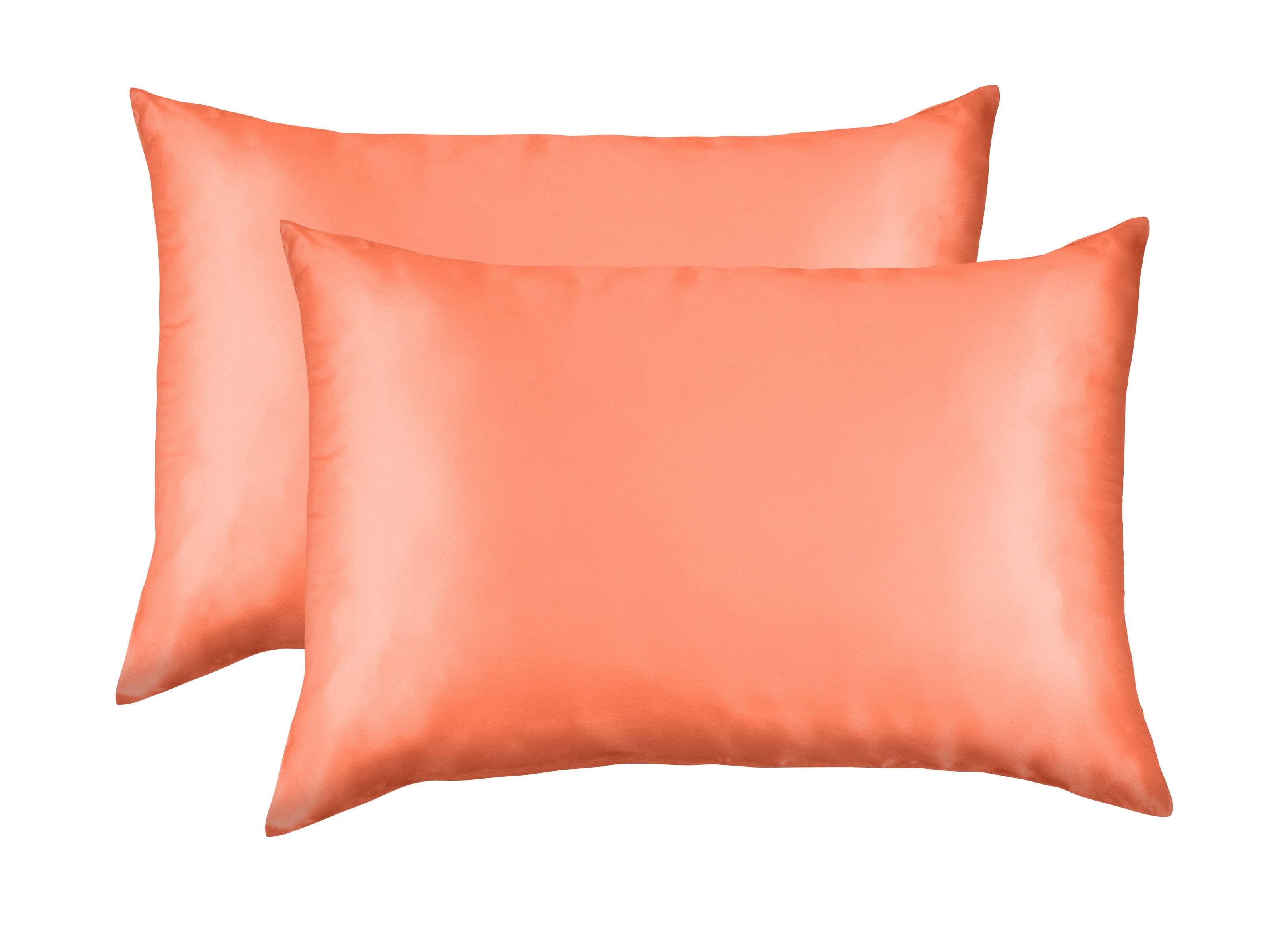 Royal Comfort Mulberry Silk Pillowcase Twin Pack - Various Colours