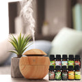 10 X 10Ml Bottles Of Essential Oils + Free Mini Diffuser