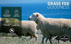 6 x 250g Sheep Ghee, Sheep Ghee Butter, Ghee Lactose Free, 250ml Grass Fed Sheep Ghee MILKIO 6 x 250 ML