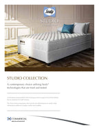 Sealy King Zip Mattress- Choose Sealy Firm, Plush Or Medium Mattress. Base Is Optional