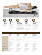 Sealy Double Xl Mattress - Choose Sealy Extra Large Firm, Plush Or Medium Mattress
