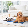 Sprint Pet Cooling Mat