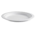 500 Plates Round 23Cm 9 Inch  Bagasse