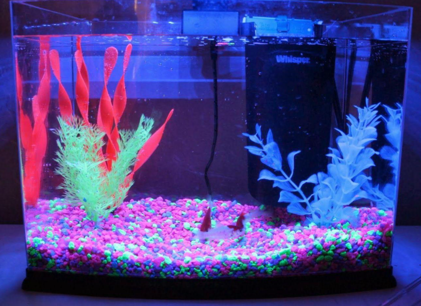 5 x Fish tank & aquarium decoration pebbles 500g