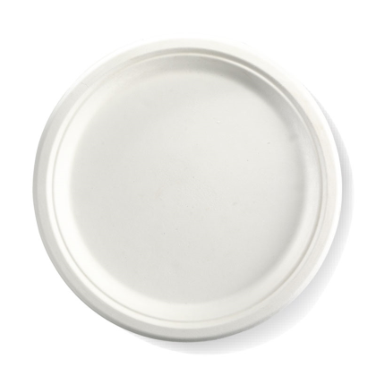 125 Plate Round Cane White 10 Inch