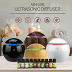 10 X 10Ml Bottles Of Essential Oils + Free Mini Diffuser